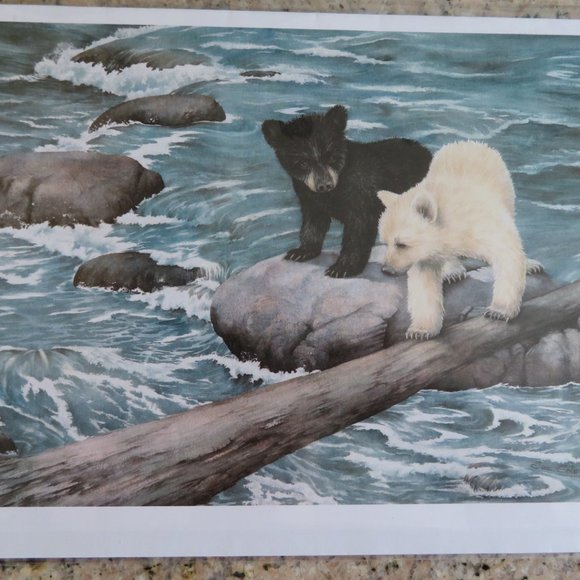 Sue COLEMAN Twin CROSSING Sealed Blank Card with Envelope Bear Cubs (989) - Picture 1 of 4